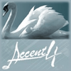 undefined Accent 4