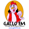 undefined Gallo FM