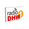 undefined Dhw 1