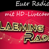 undefined Flaeming Radio