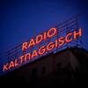 undefined Radio Kaltnaggisch