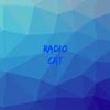undefined radiocat