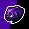 undefined Vanisgaming Radio