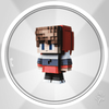 undefined zspionfm
