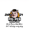 undefined Radio Piggy