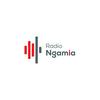 undefined Radio Ngamia