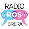 undefined radio ros brera