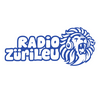 undefined Radio ZüriLeu