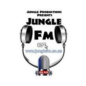 Radio Jungle FM