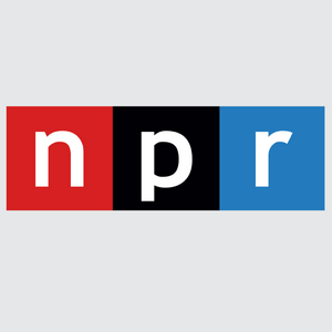 NPR 24