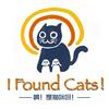 undefined 啊！是猫咪呀