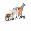 undefined About A Dog