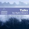 undefined Ajahn Amaro Podcast by Amaravati