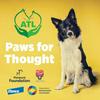 undefined Animal Therapies Ltd Podcast