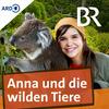 undefined Anna und die wilden Tiere