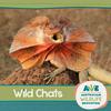 undefined Australian Wildlife Education: Wild Chats