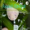 undefined Axolotl Central