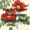 undefined Bach Flower Remedies Cuppingheal