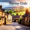 undefined Barmy Dale - Comedy Podcast (Sitcom)