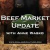 undefined Beef Market Update – RealAgriculture