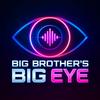 undefined Big Brother's Big Eye