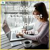 undefined Assignment Help In Australia