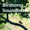 undefined Birdsong Soundbath