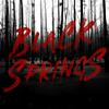 undefined Black Springs