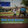 undefined Blue Crew Diaries: Little League Baseball Umpire Insights