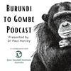 undefined Burundi to Gombe