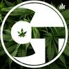 undefined CannabisTech