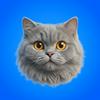 undefined CatCog: Cat Science & Psychology