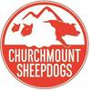 undefined Churchmount Working Sheepdogs