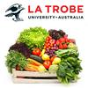 undefined Diet and Nutrition
