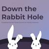 undefined Down the Rabbit Hole