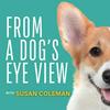 undefined From A Dog's Eye View