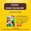 undefined Sư Thanh Minh và các bài giảng Phật Pháp thuộc Kinh Nikaya