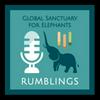 undefined Global Rumblings Podcast