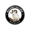 undefined Higher Calling Wildlife with Chester Moore