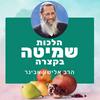 undefined הלכות שמיטה בקצרה | הרב אלישע אבינר
