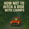 undefined How Not to Hitch a Ride with Chimps