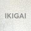 undefined IKIGAI