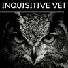 undefined Inquisitive Vet