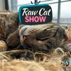 undefined Raw Cat Show with Jess &amp; Jericho caticles.com | Fun Enrichment | Raw Feeding | Whole Prey