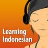 undefined Learning Indonesian - The fun and easy self-paced course in Bahasa Indonesia, the Indonesian Language