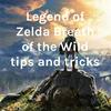 undefined Legend of Zelda Breath of the Wild tips and tricks