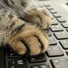 undefined 貓貓腳印 Catprint