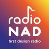 undefined NAD Radio