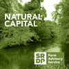 undefined Natural Capital