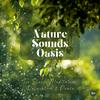 undefined Nature Sounds Oasis | Relaxing Nature Sounds For Sleep, Meditation, Relaxation Or Focus | Sounds Of Nature | Sleep Sounds, Sleep Music, Meditation Sounds, Ocean Waves, Rain, White Noise & More